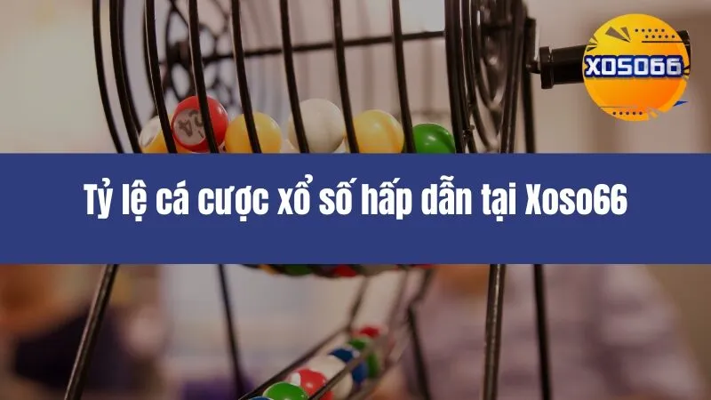 Xổ Số Miền Bắc Xoso66