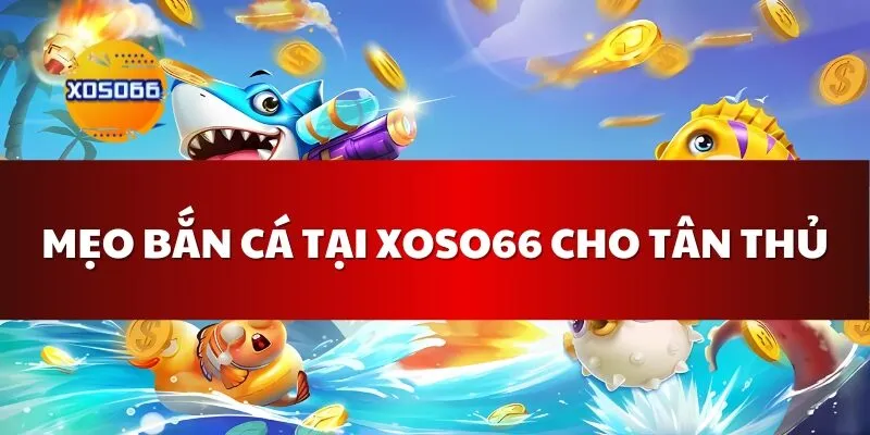 Mẹo Bắn Cá Tại Xoso66 Cho Tân Thủ