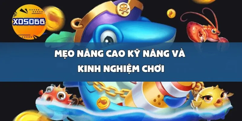 Mẹo Nâng Cao Kỹ Năng và Kinh Nghiệm Chơi