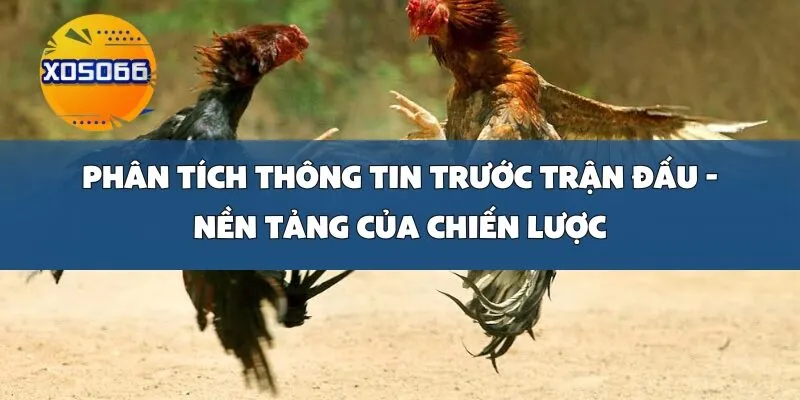 Phân Tích Thông Tin Trước Trận Đấu - Nền Tảng Của Chiến Lược
